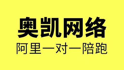 阿里1688一对一陪跑.png
